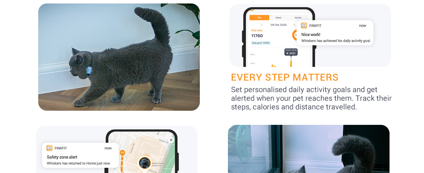 pawfit 