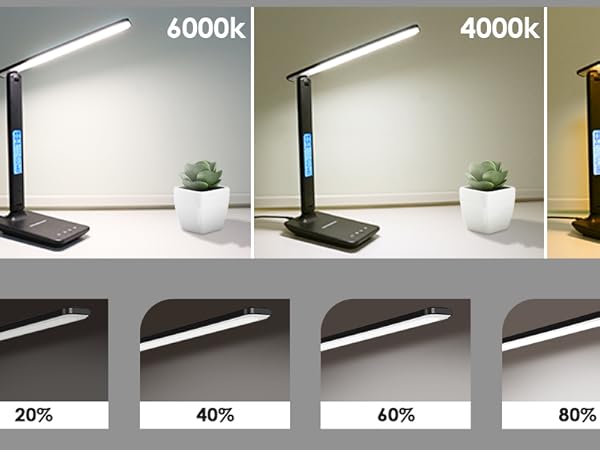 Desk Lamp