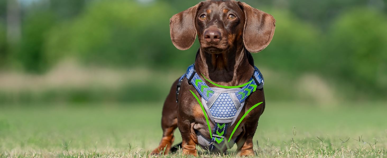 escape proof dog harness