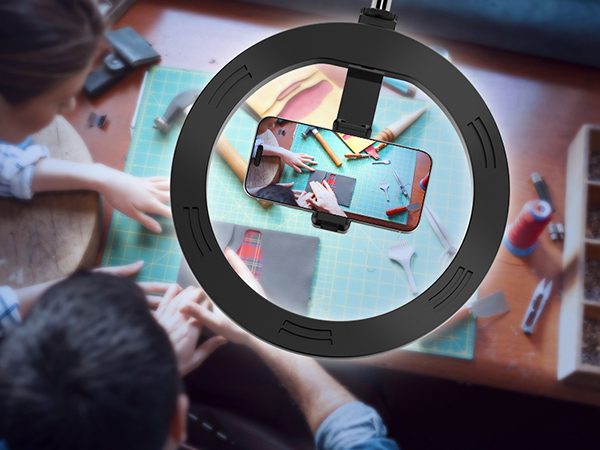 overhead phone mount with ring light