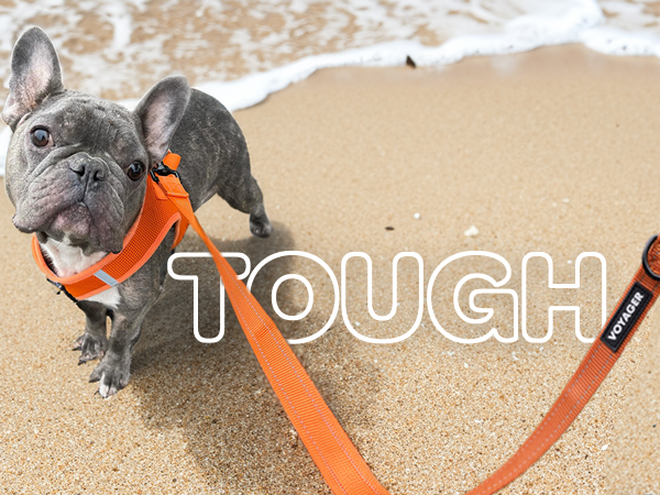 dog leashes for medium dogs