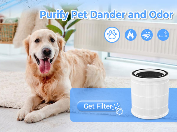 pet air purifier