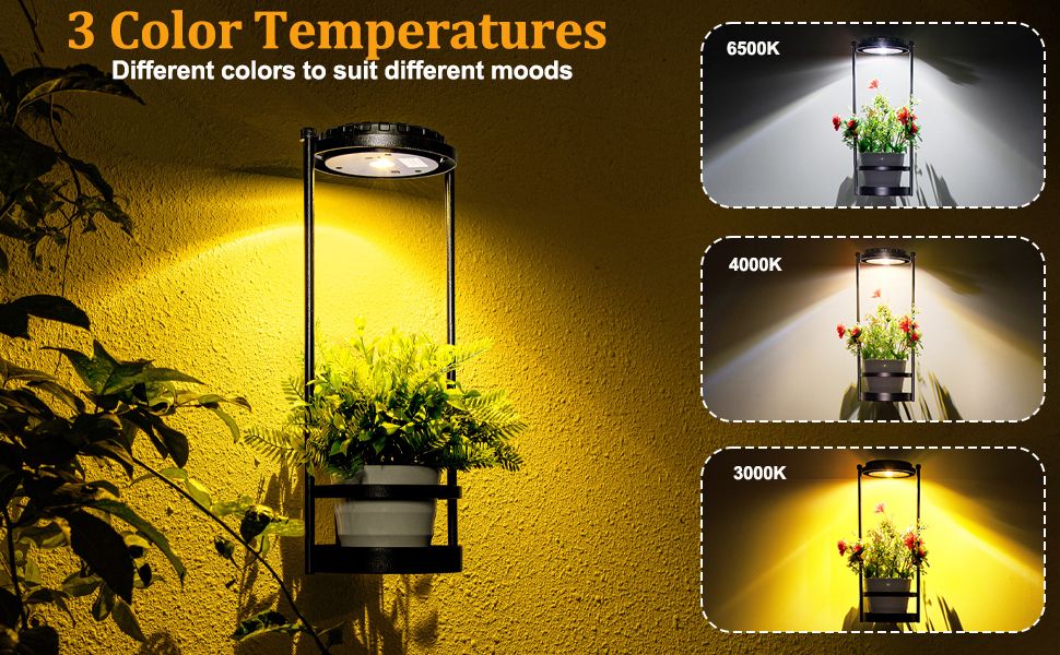 Solar Wall Sconce Shelf Planter