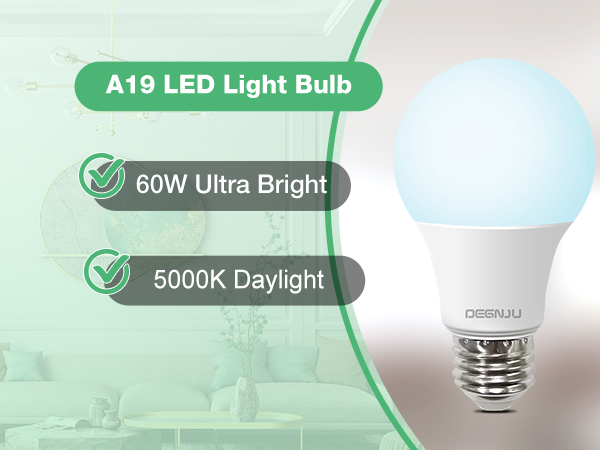 A19 LED Bulbs