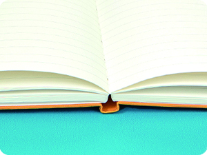 Paperage Pocket Notebook