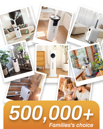 lacidoll humdifiers for home