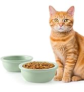 Sunhoo 2PCS Cat Bowls Ceramic Replacement Bowl 360ml Kitten Food and Water Bowl for Indoor Cats P...