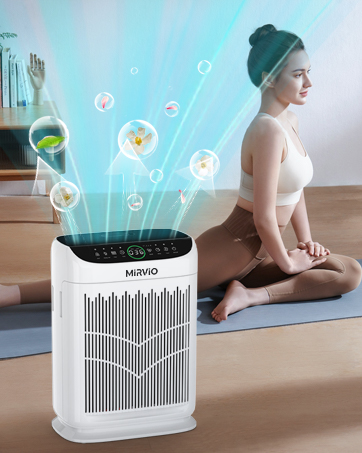 air purifiers for pet