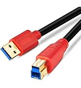 Tan QY USB 3.0 Cable A Male to B Male 1Ft, Type A to B Male Compatible with Hard Disk Drive,Print...