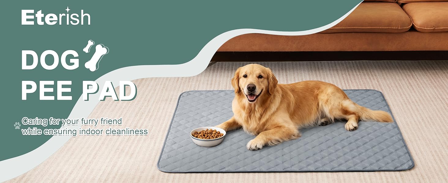 dog pee pad