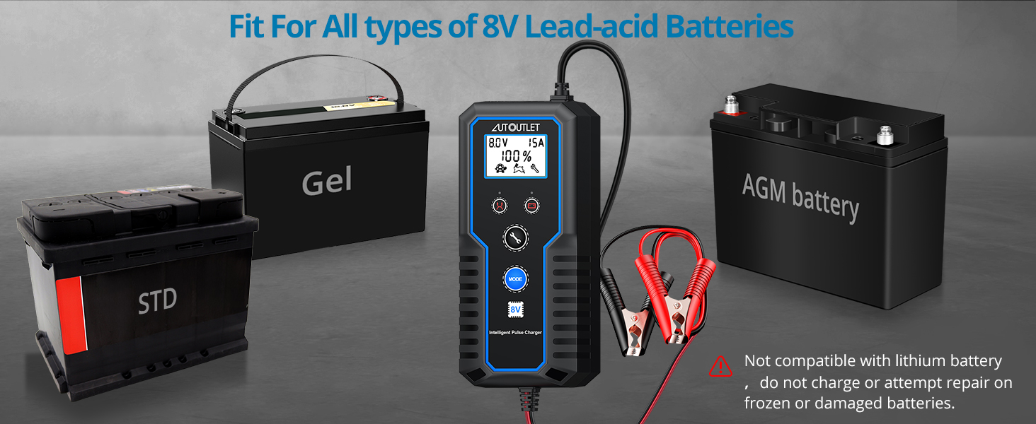 Car Battery Charger