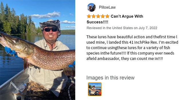 swimbaits