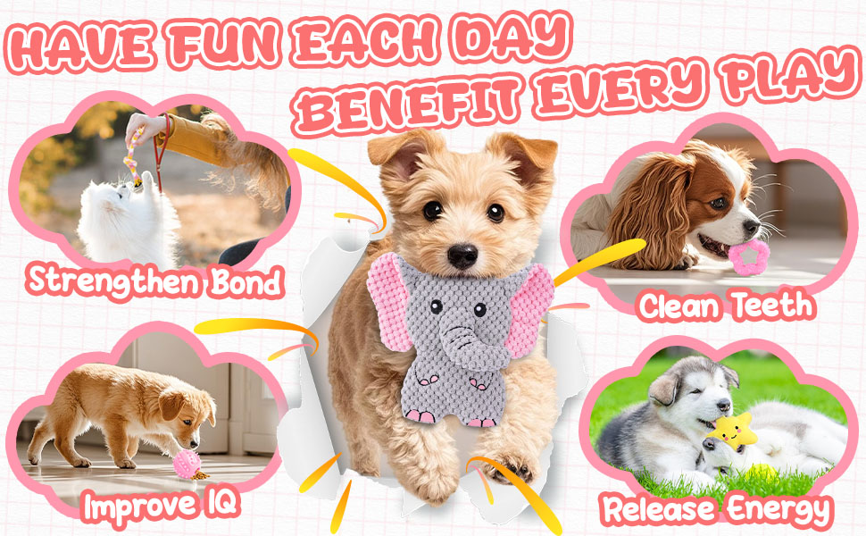 dog enrichment toys