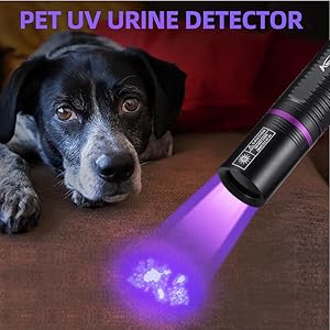 Pet Urine Detector