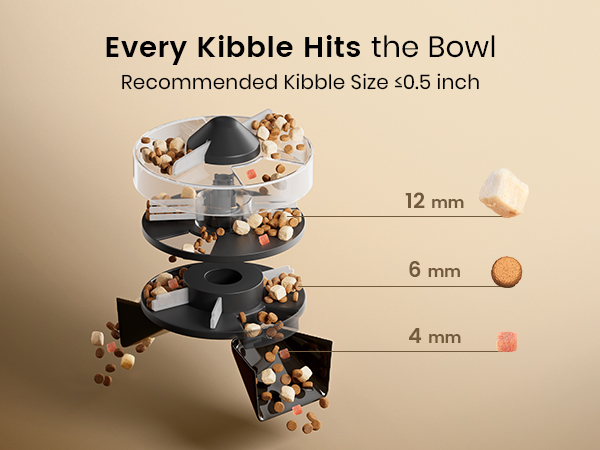 automatic cat feeder