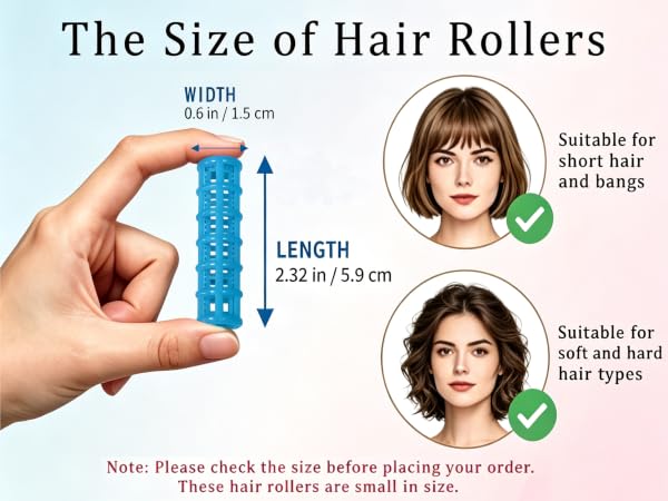 hair rollers2