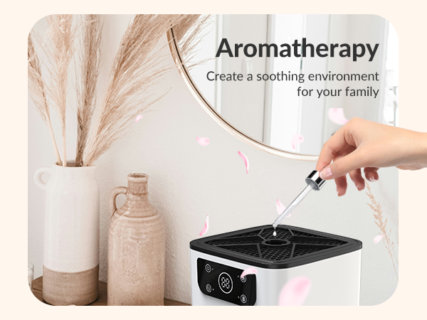 air purifier with essential oil diffuser