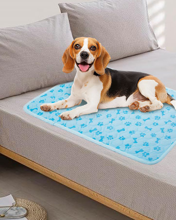 cooling mat for dogs
