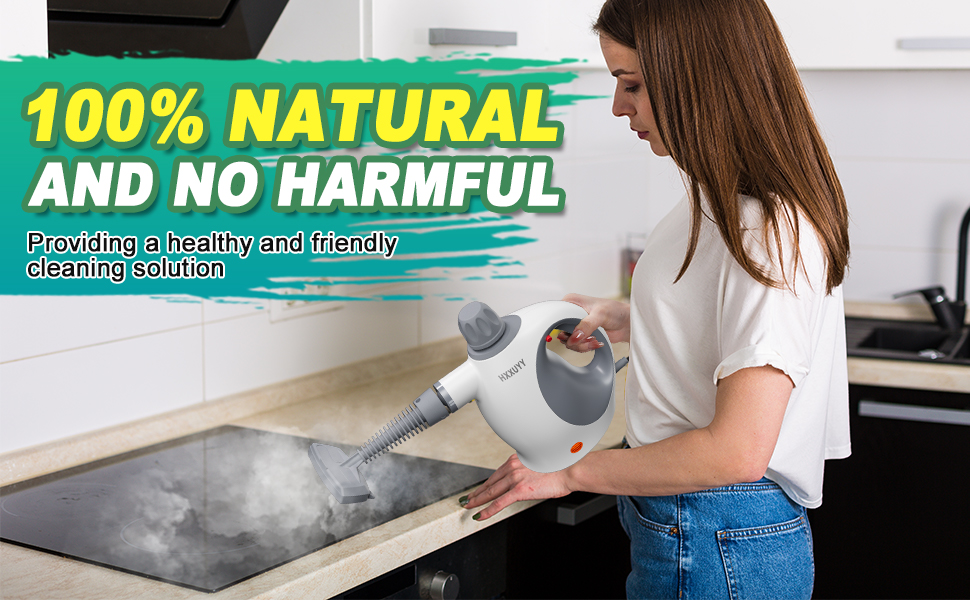 Handheld Steam Cleaner