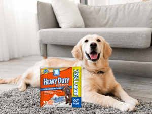 pee pads dog products xl dog bed pet supplies small dog crate male dog diapers dog stuff dog crates