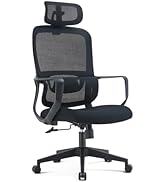 Ergonomic Office Chair with Dual-Adjustable Headrest - High-Density Sponge Seat, Durable Gas Lift...