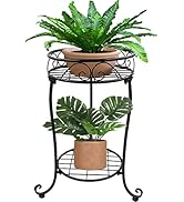 NAKUPE 2 Tier Plant Stand, 18.5 inch Tall Metal Potted Holder Rack, Indoor Outdoor Flower Pot She...