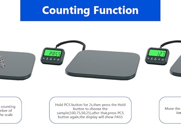 Digital Scale
