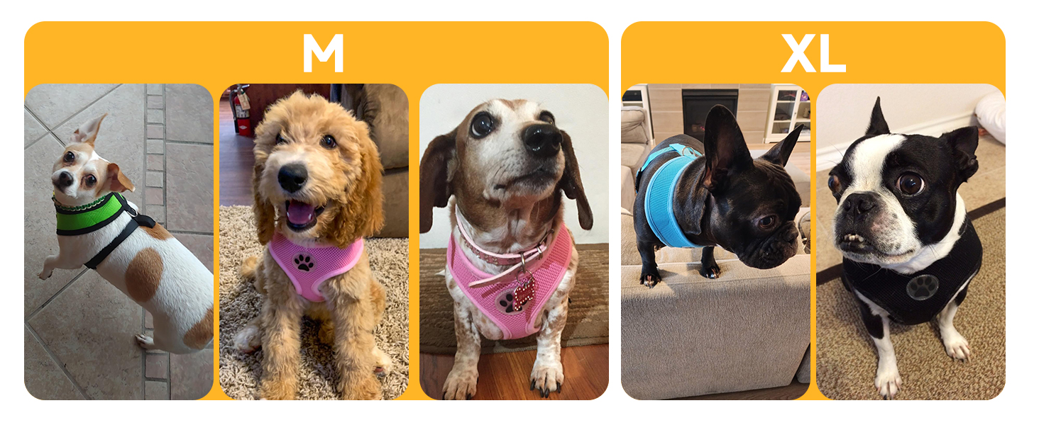 dog harness small size dogs