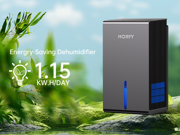 Energy-Saving small dehumidifier