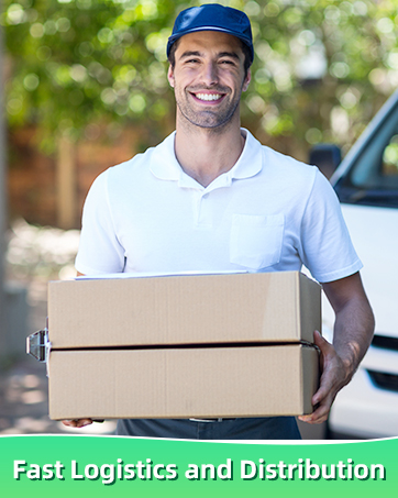 Plug in Air Purifier