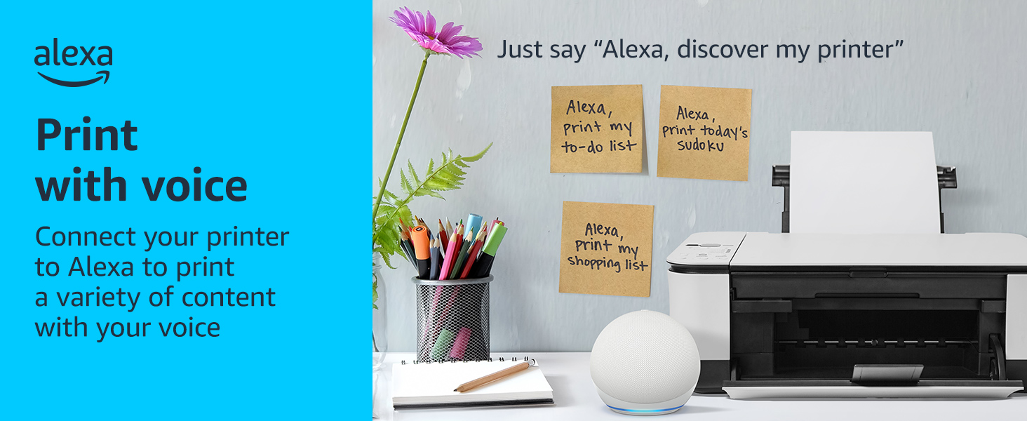 works with alexa