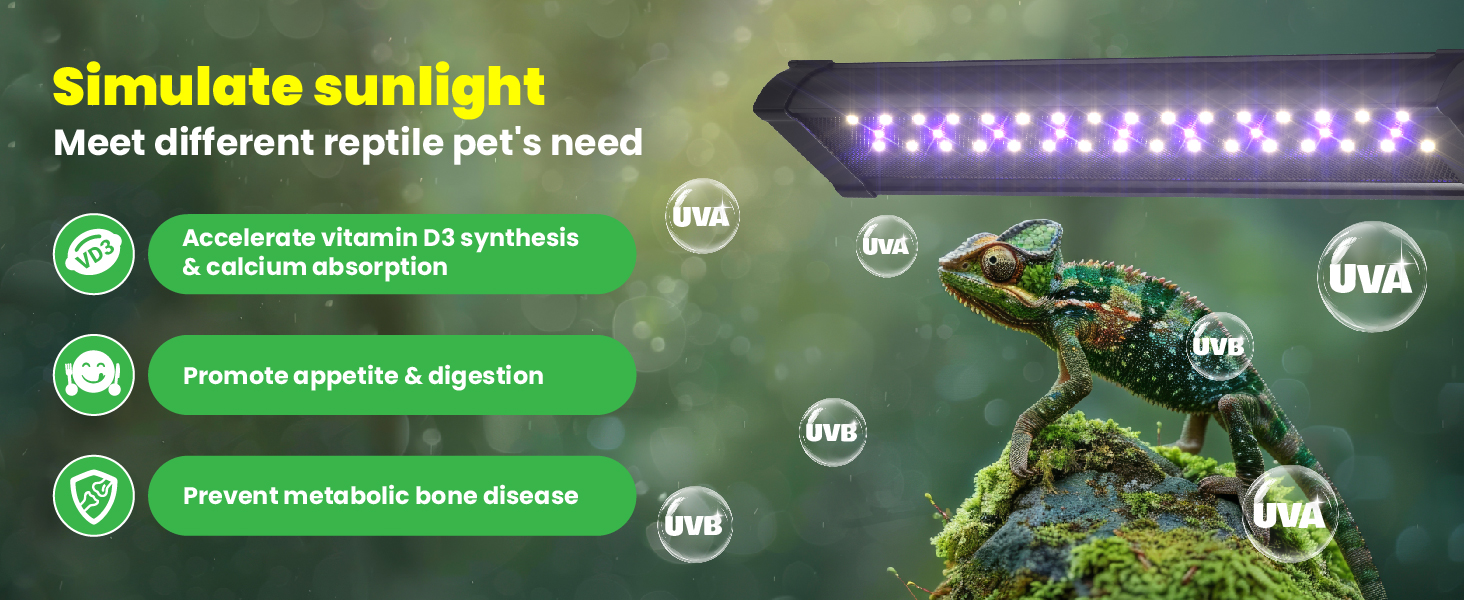 uvb light for reptiles