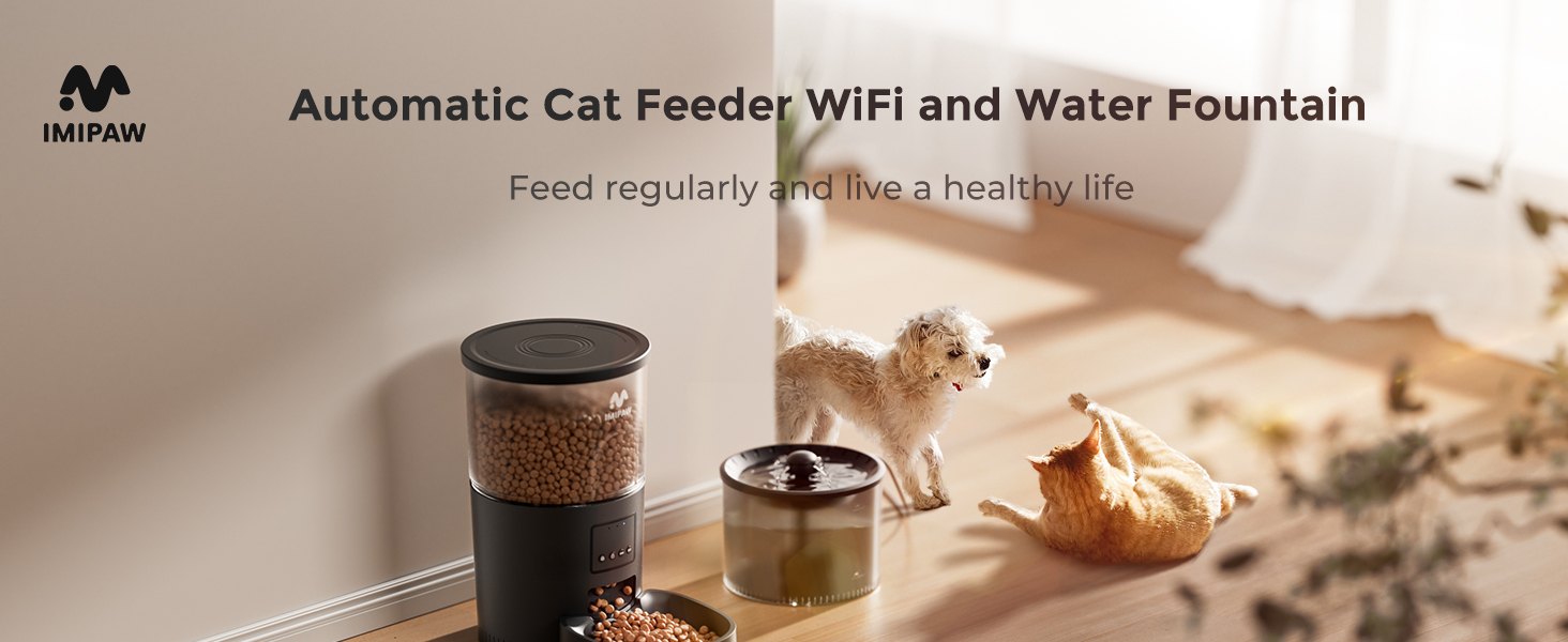 Automatic Cat Feeder