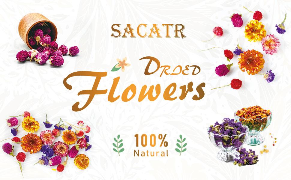 Natural Dried Flowers Kit