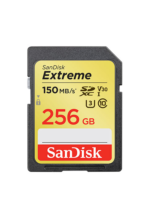 SanDisk Extreme SD