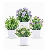 Der Rose 4 Packs Small Fake Plants Mini Artificial Faux Plants with Flowers for Home Room Farmhou...