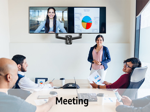 dual monitor wall mount