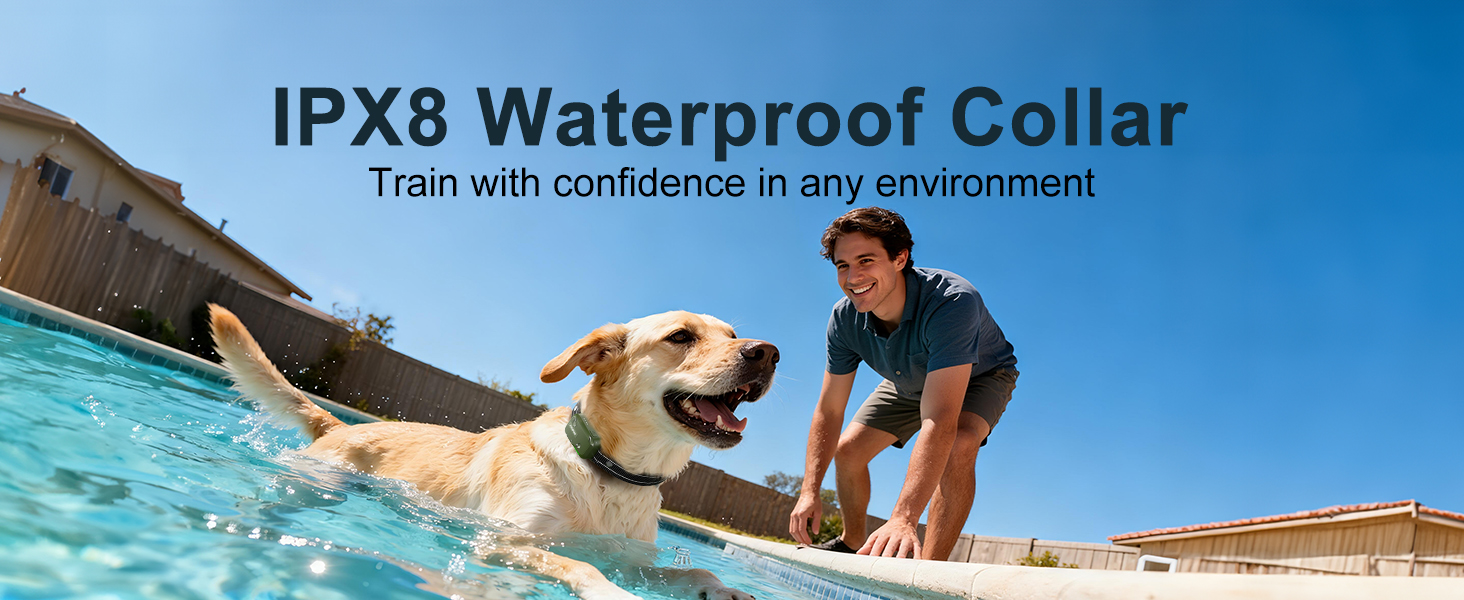 e collar for dogs training