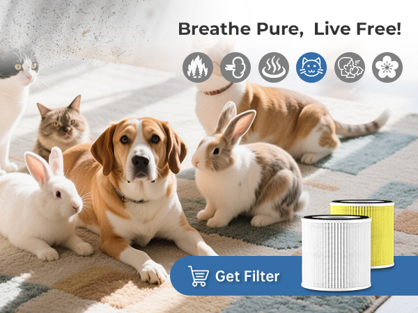 air purifiers for home pets