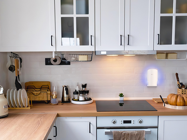 indoor fly trap for home