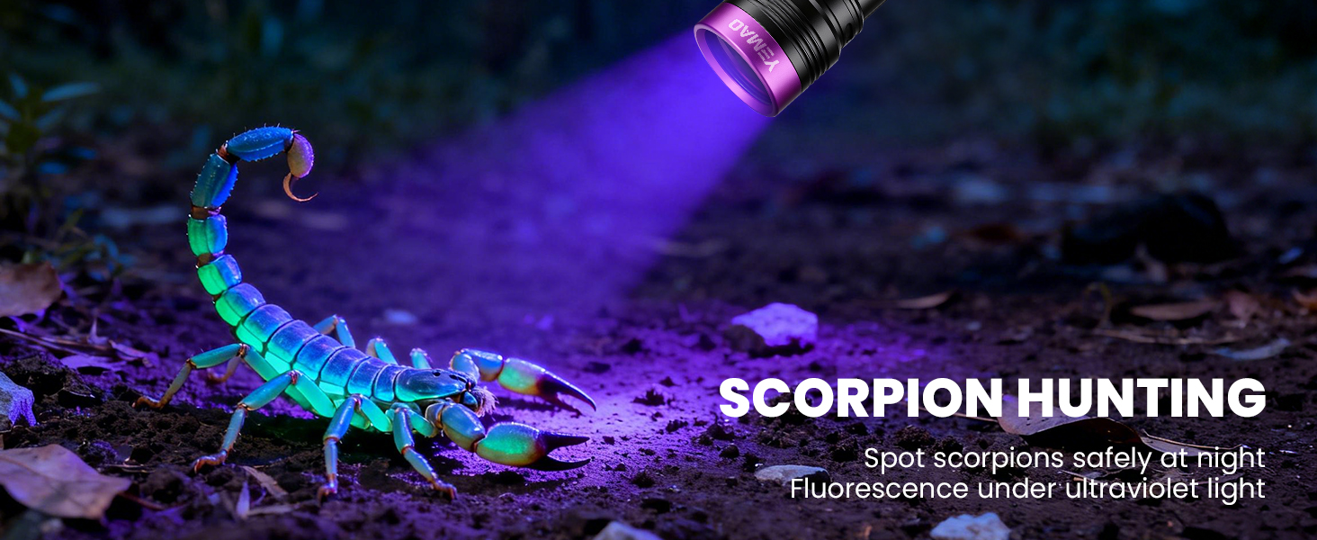 365nm ultraviolet light