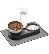 Marchul 2-in-1 Elevated Cat Bowl &amp; Gravity Water Dispenser with No-Spill Mat, 15° Tilt Stainless ...