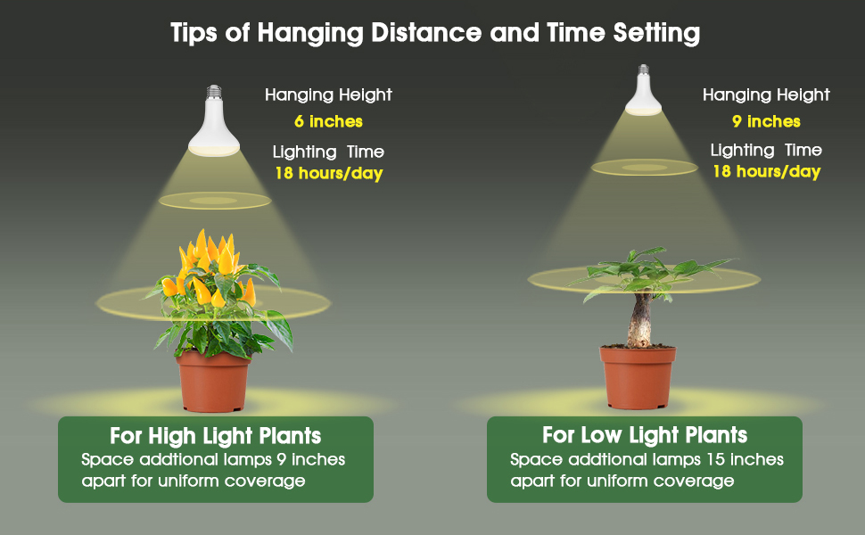 grow light bulb for plants