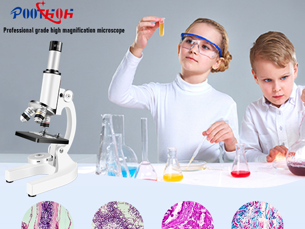Microscope