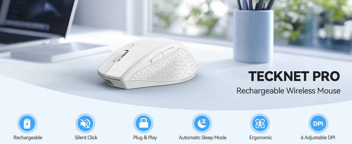 mouse