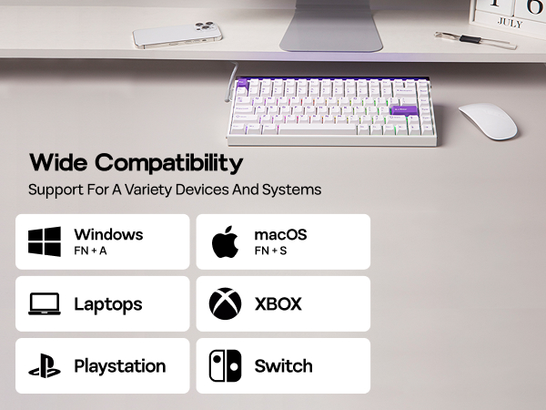 Hall Effect Keyboard with Neon RGB Light Box
