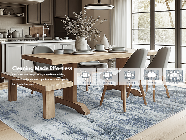 Area Rugs for Living Room