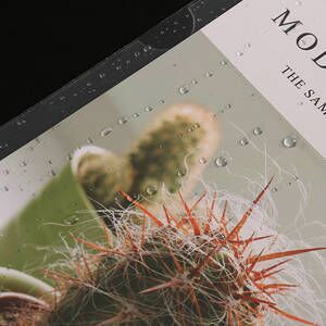 clear document folders transparent