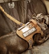 AUROTH Heavy Duty Bungee Dog Leash for Medium Large Breed Dogs, No Pull for Shock Absorption with...