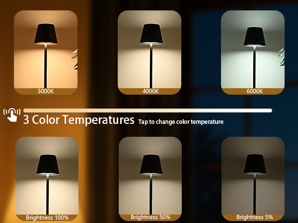 table lamp